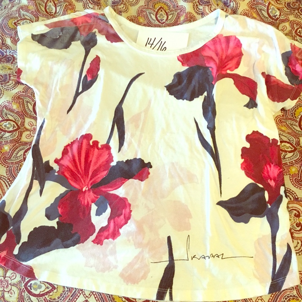 Lane Bryant designer shirt